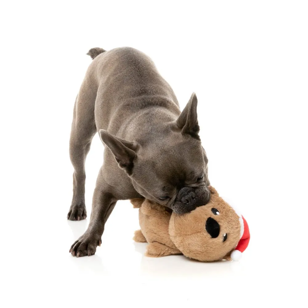 15% OFF: FuzzYard Christmas Felix-Navidad the Wombat Plush Dog Toy