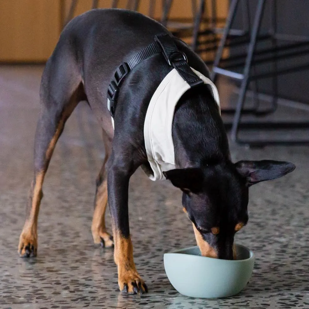 15% OFF: FuzzYard Life Silicone Dog Bowl (Sandstone)