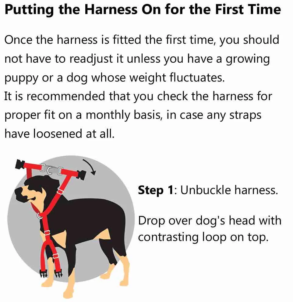 2 Hounds Design Freedom No-Pull Dog Harness & Leash - Red/Black