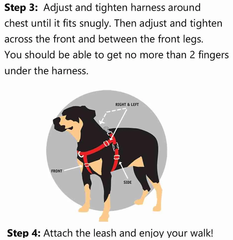 2 Hounds Design Freedom No-Pull Dog Harness & Leash - Silver
