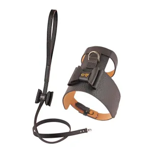 30% OFF: Moshiqa Bijou Leather Dog Harness & Bisou Leather Dog Leash Set (Brown)