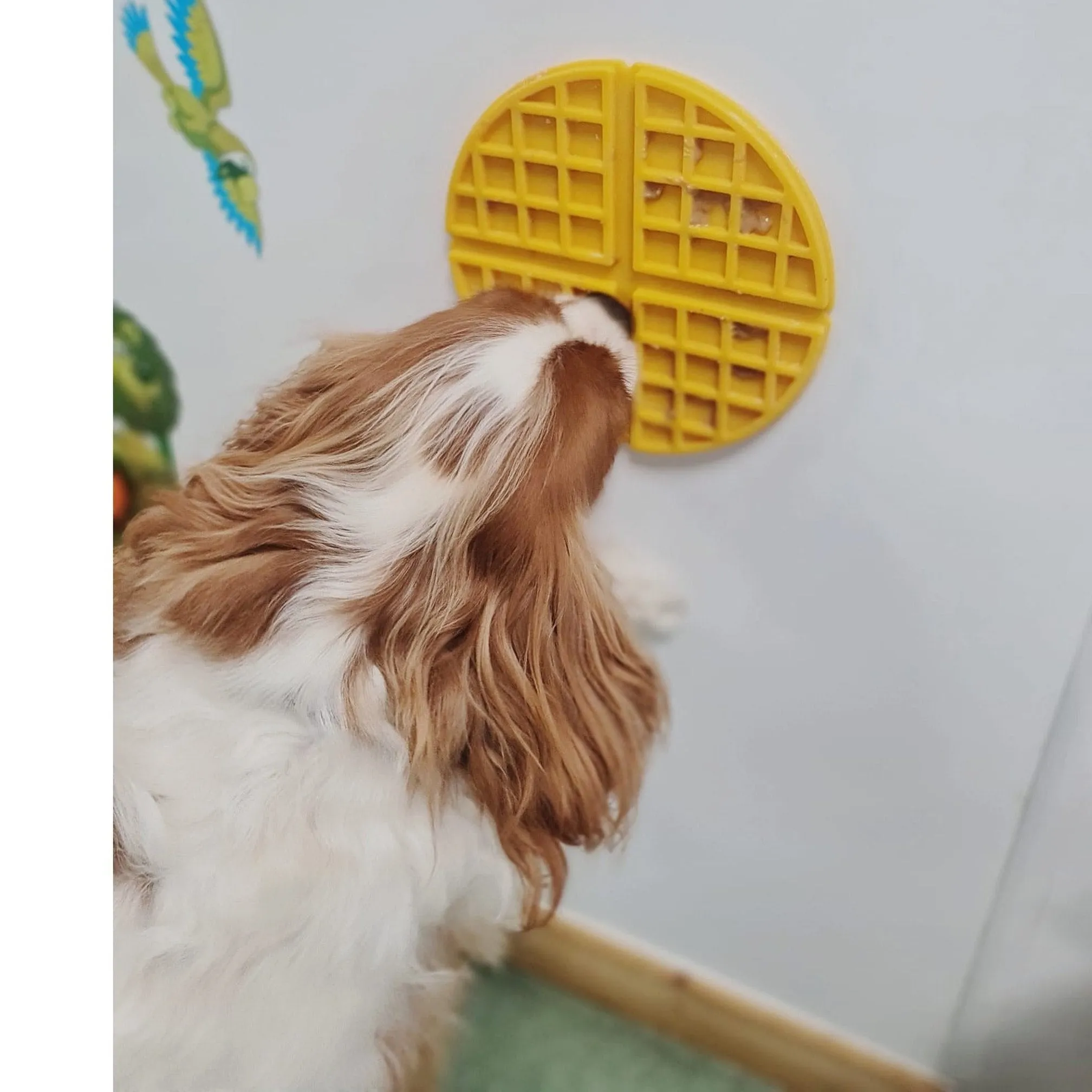 Afb Calming Pals - Wowfle Lick Mat