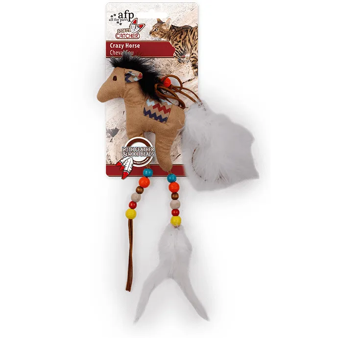 AFP Dreams Catcher-Crazy Horse