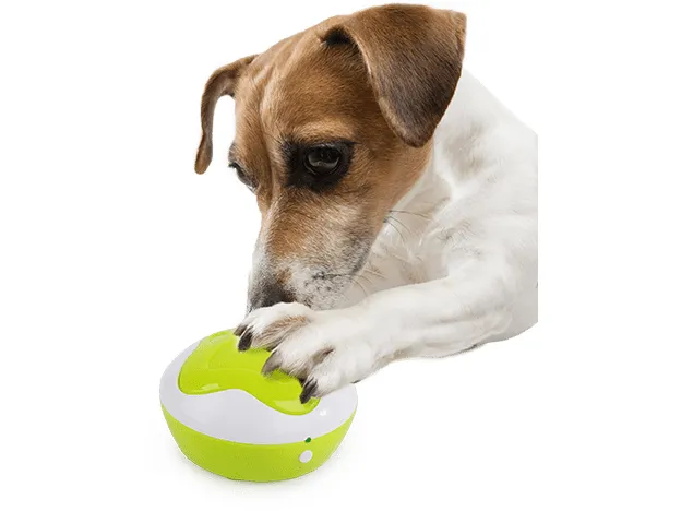 AFP Interactives - Puppy Interpreter