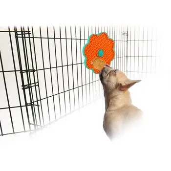AFP LickADisk