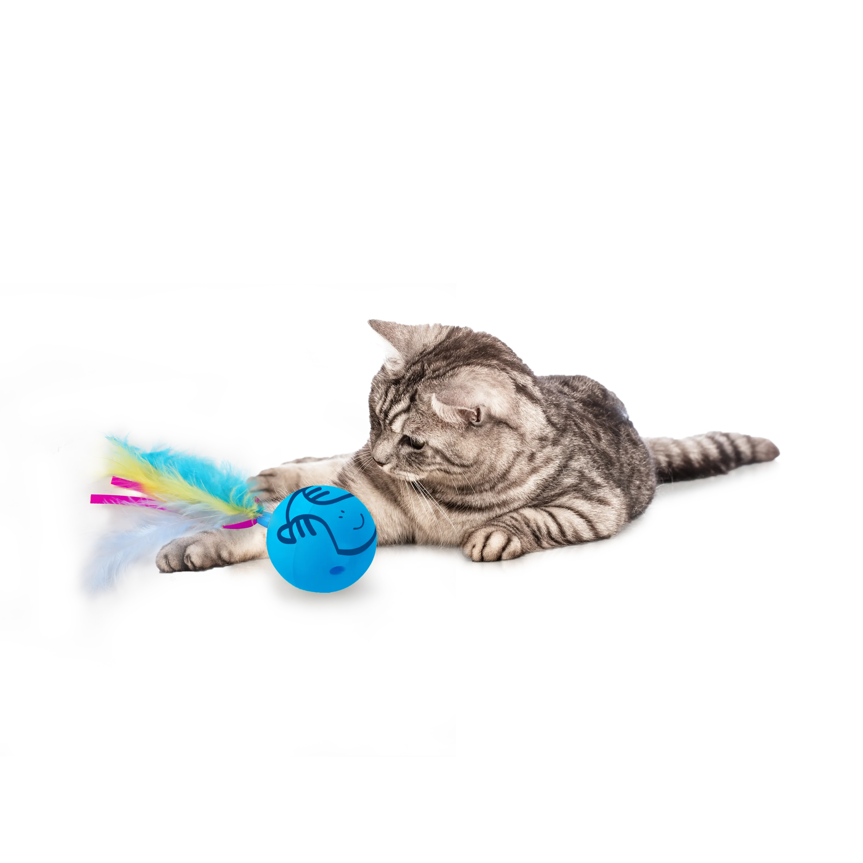 AFP Modern Cat - Dizzy Spinner - Interactive Cat Toy
