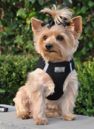 American River Ultra Choke Free Dog Harness- Black