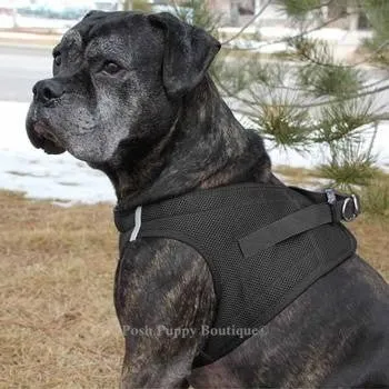 American River Ultra Choke Free Dog Harness- Black