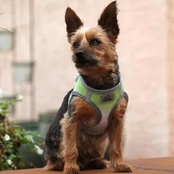American River Ultra Choke Free Dog Harness- Ombre Collection -Limestone Gray