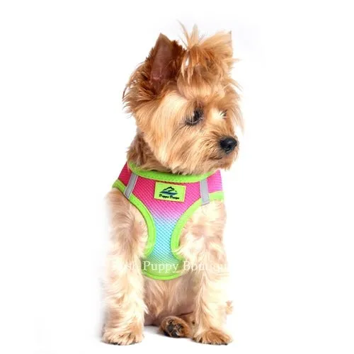 American River Ultra Choke Free Dog Harness- Ombre Collection -Rainbow