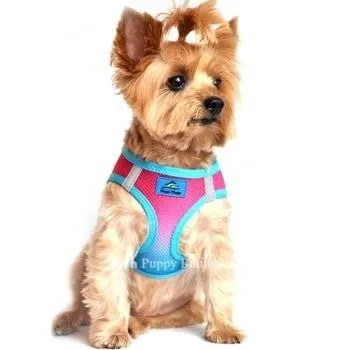 American River Ultra Choke Free Dog Harness- Ombre Collection -Sugar Plum