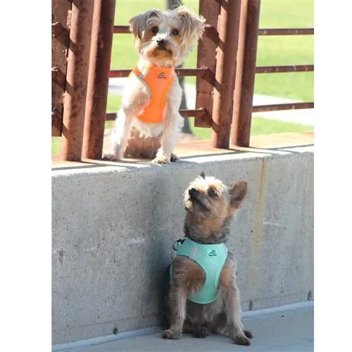American River Ultra Choke-Free Mesh Dog Harness - Teal