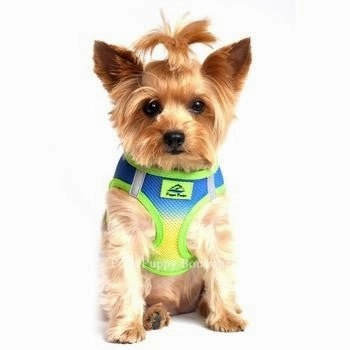 American River Ultra Choke Free Dog Harness- Ombre Collection - Colbalt Sport