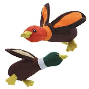 Ballistic Ducks