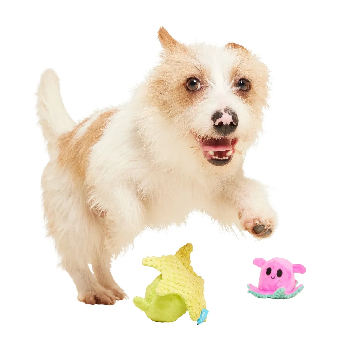 BARK Lil' Squirts Plush Dog Toys (2 Pack)