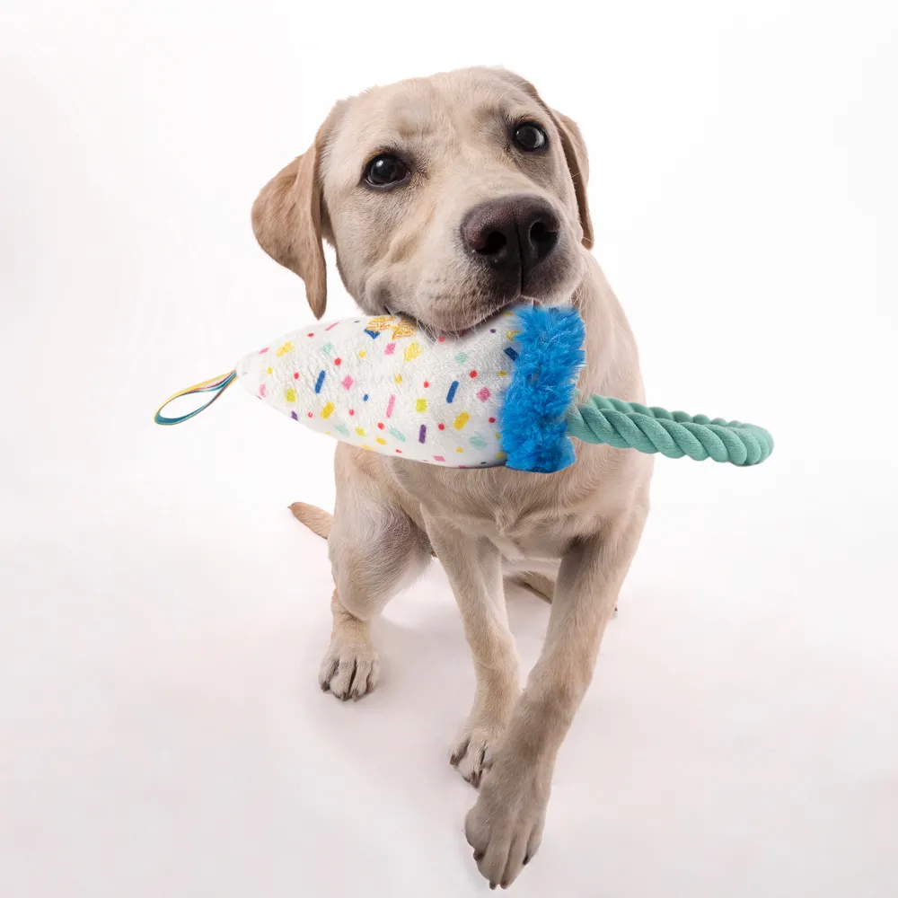 Barkbutler x Fofos Birthday Hat Plush Toy for Dogs