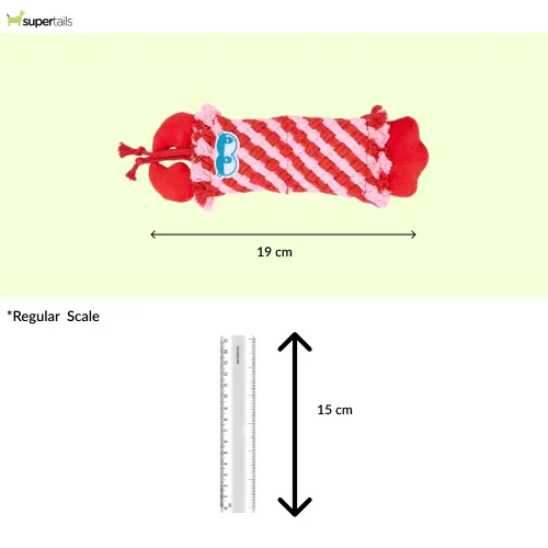 Barkbutler x Fofos Dental Lobster Toy for Dogs