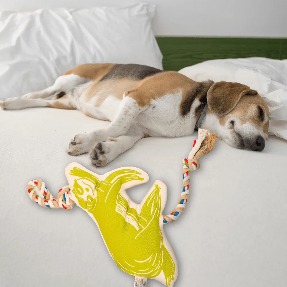 Barkbutler x Fofos Flossy Rope Toy With Sloth for Dogs