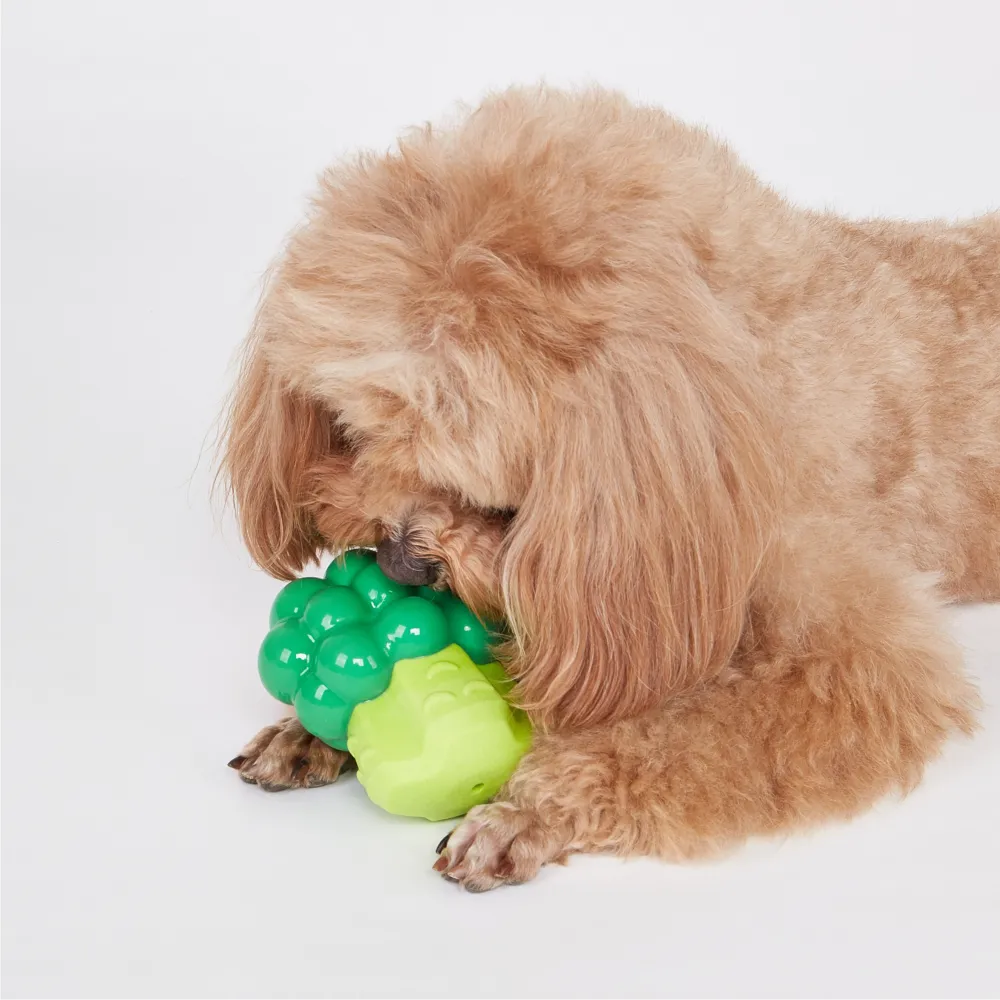Barkbutler x Fofos Giggling Vegi Bites Broccoli Squeaky Chew Toy for Dogs