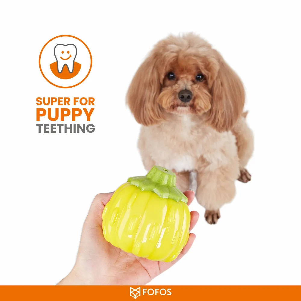 Barkbutler x Fofos Giggling Vegi Bites Pumpkin Squeaky Chew Toy for Dogs