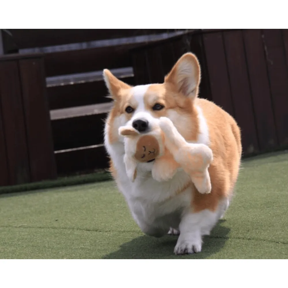 Barkbutler x Fofos Glove Plush Sheep Toy for Cats