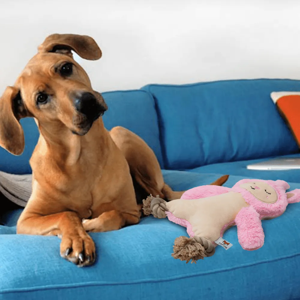 Barkbutler x Fofos Ropeleg plush Rabbit Toy for Dogs