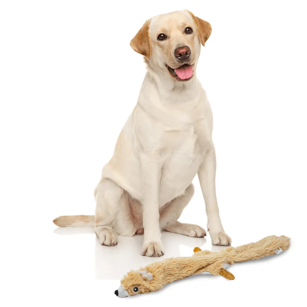 Barkbutler x Fofos Skinneez Squirrel Toy for Dogs (Brown)