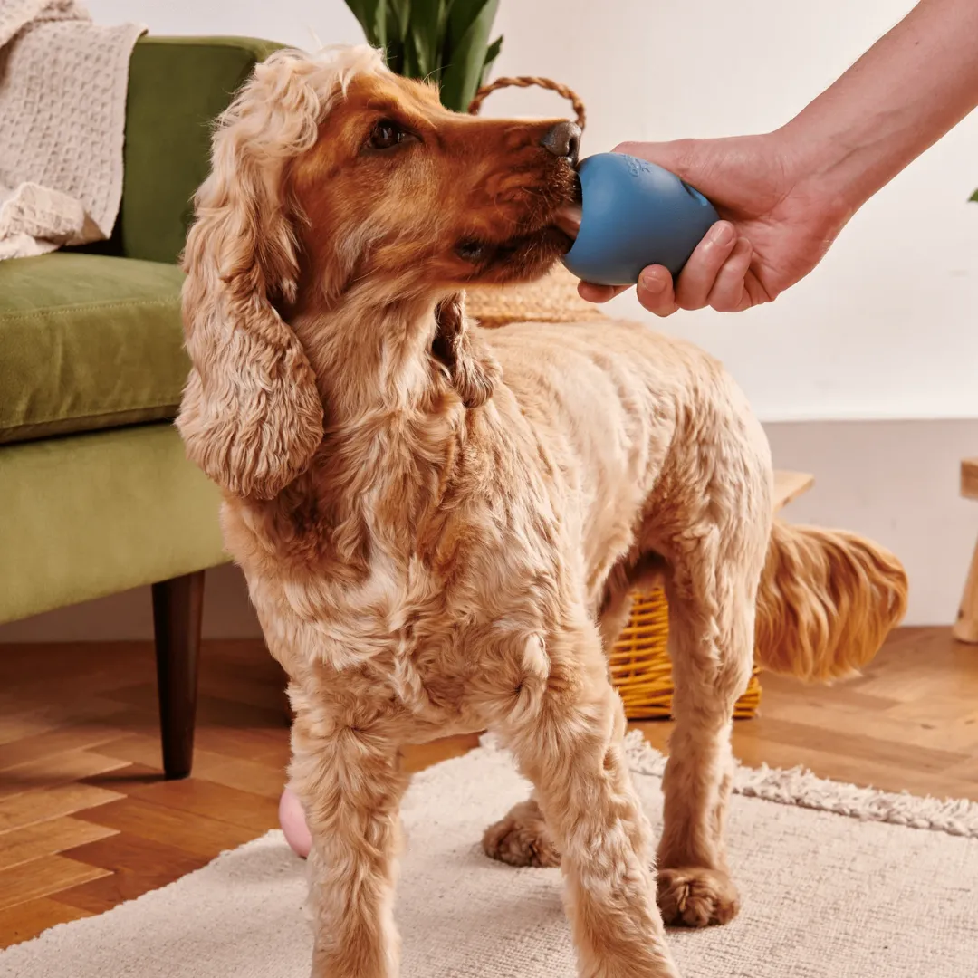 Beco Boredom Buster Toy