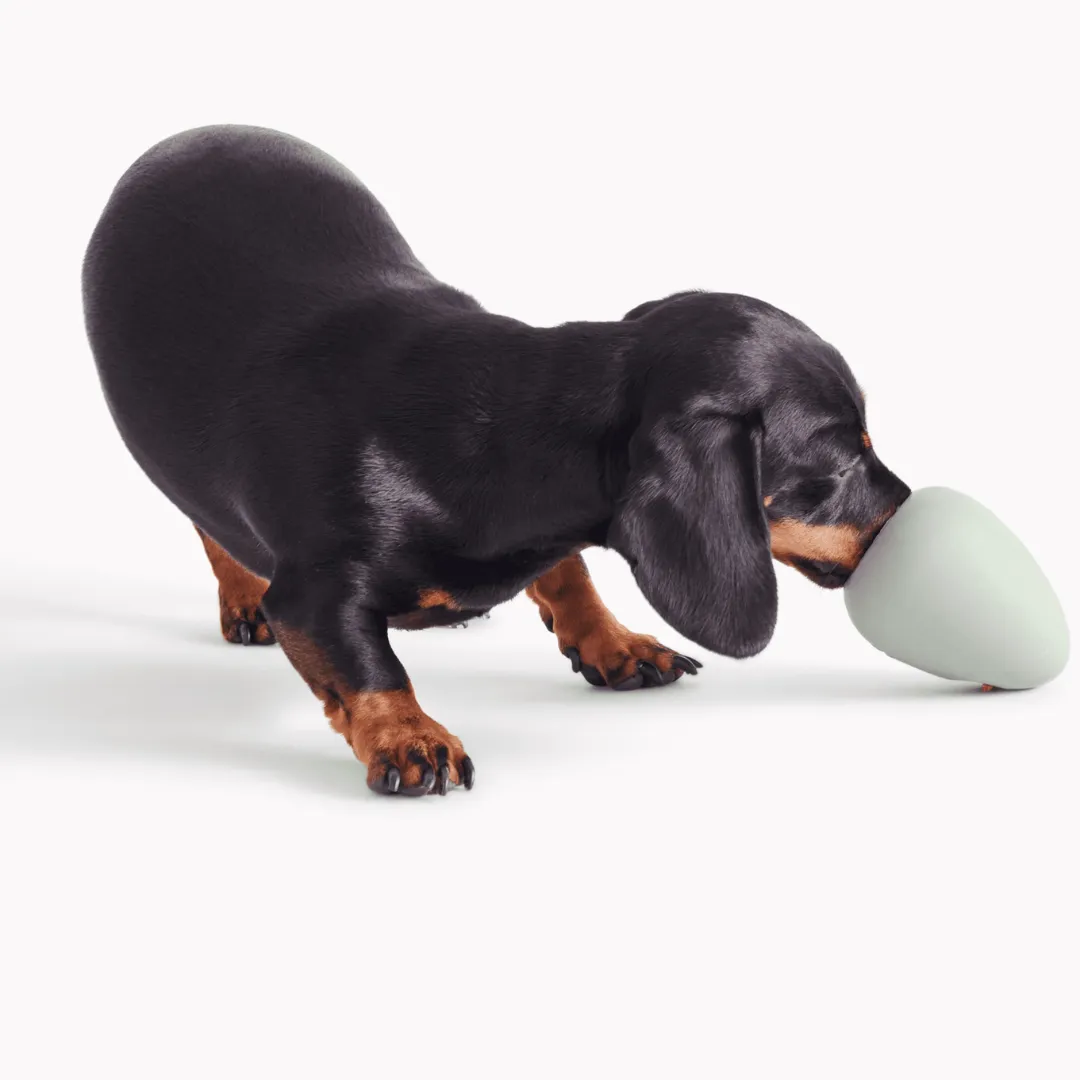 Beco Boredom Buster Toy