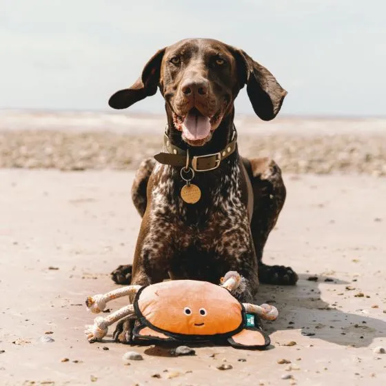 Beco Dual Material Chew Dog Toy