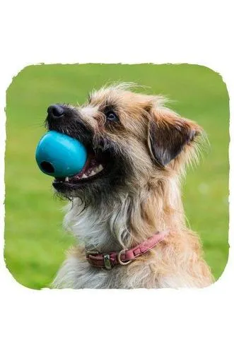 Beco Natural Rubber Treat Ball for Dog