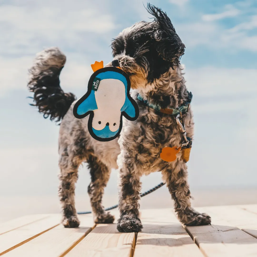Beco Recycled Peggy the Penguin