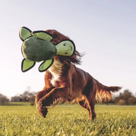 Beco Recycled Rough and Tough Dog Chew Toy