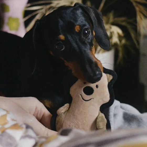 Beco Recycled Rough and Tough Dog Chew Toy