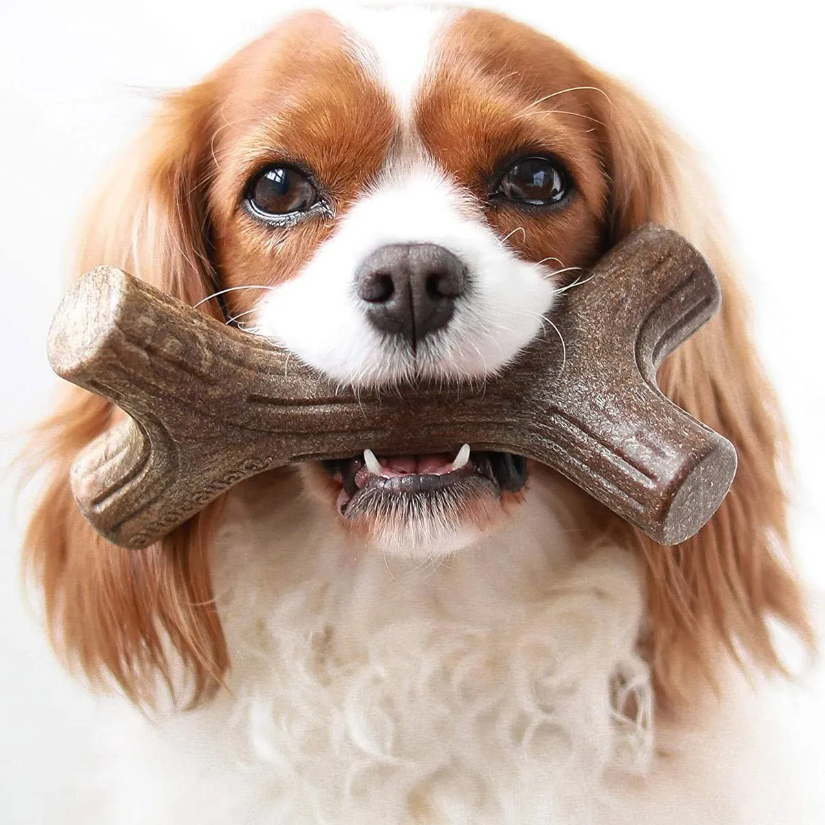 Benebone Maplestick Chew Dog Toy