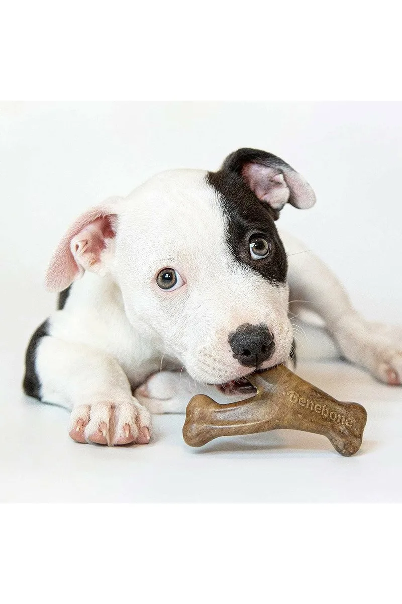 Benebone Puppy 2-Pack Dental Chew/Wishbone (Tiny)  Bacon
