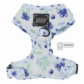 Berry Sassy Adjustable Dog Harness