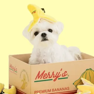 Bite Me - Banana Toy