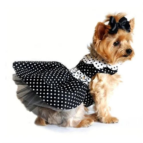 Black and White Polka Dot Dog Dress