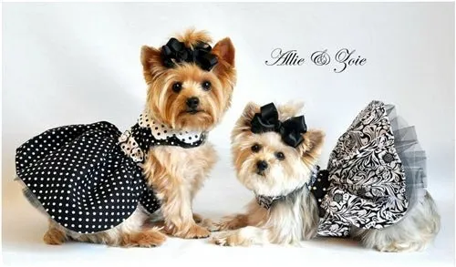 Black and White Polka Dot Dog Dress