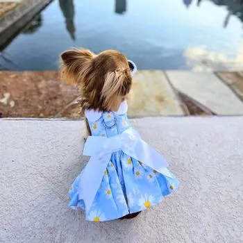 Blue Daisy Harness Dress with Matching Leash