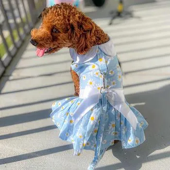 Blue Daisy Harness Dress with Matching Leash