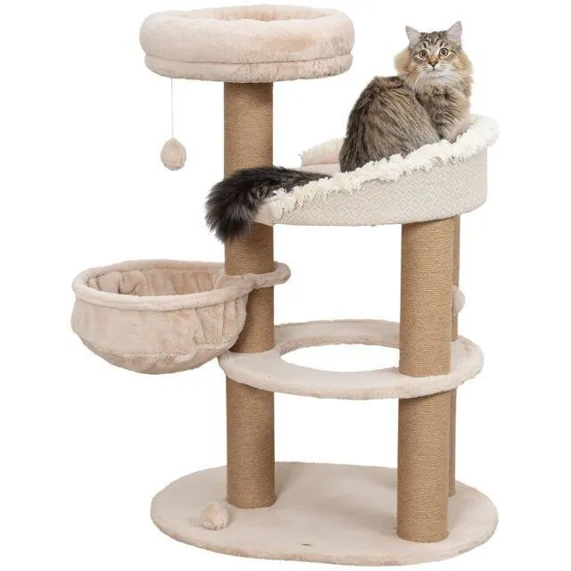 Boho Filippo scratching tree