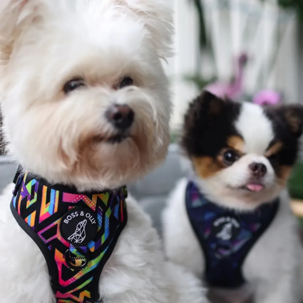 Boss & Olly Adjustable Dog Harness (Midnight Dreams)