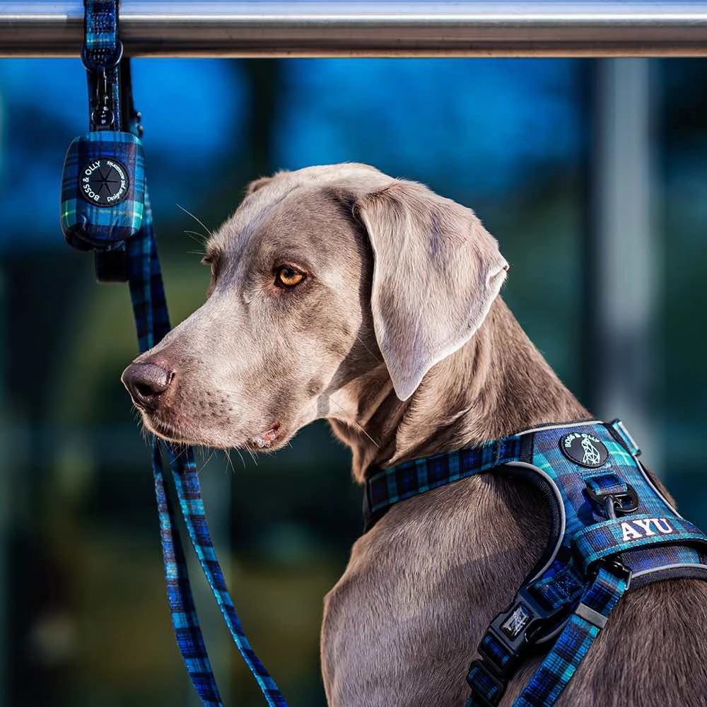 Boss & Olly Active Dog Harness (Forest Plaids)
