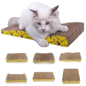 Cat Scratching Corrugated Board