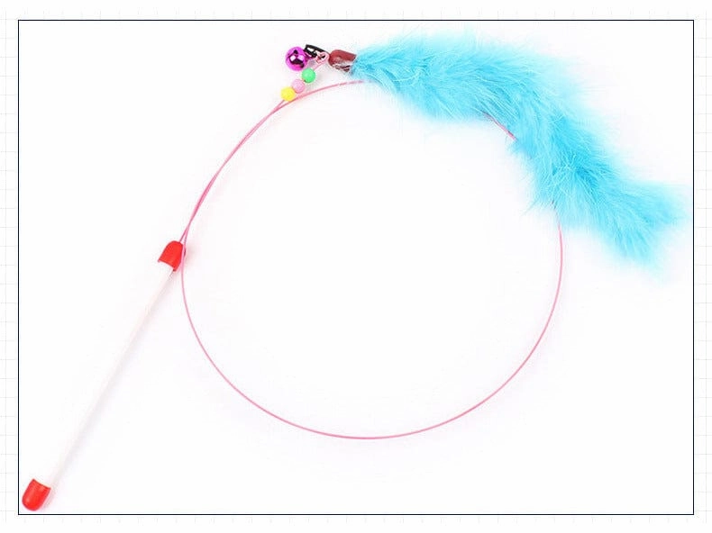 Cat Play Rob As Photo 90Cm
