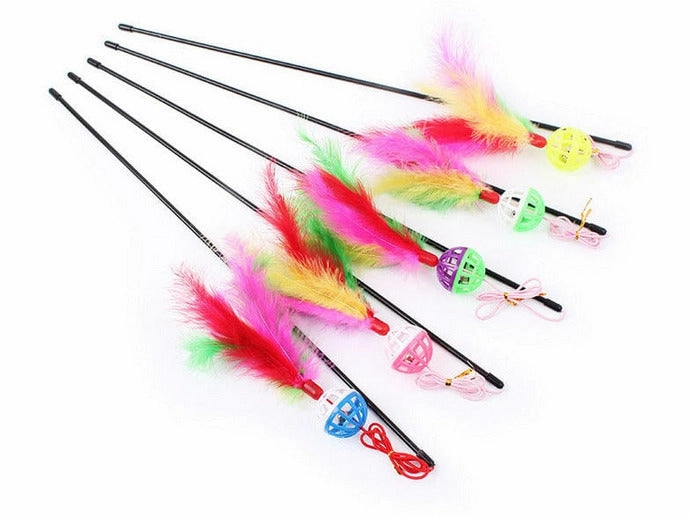 Cat Play Rob Mix Color 50*45*15Cm