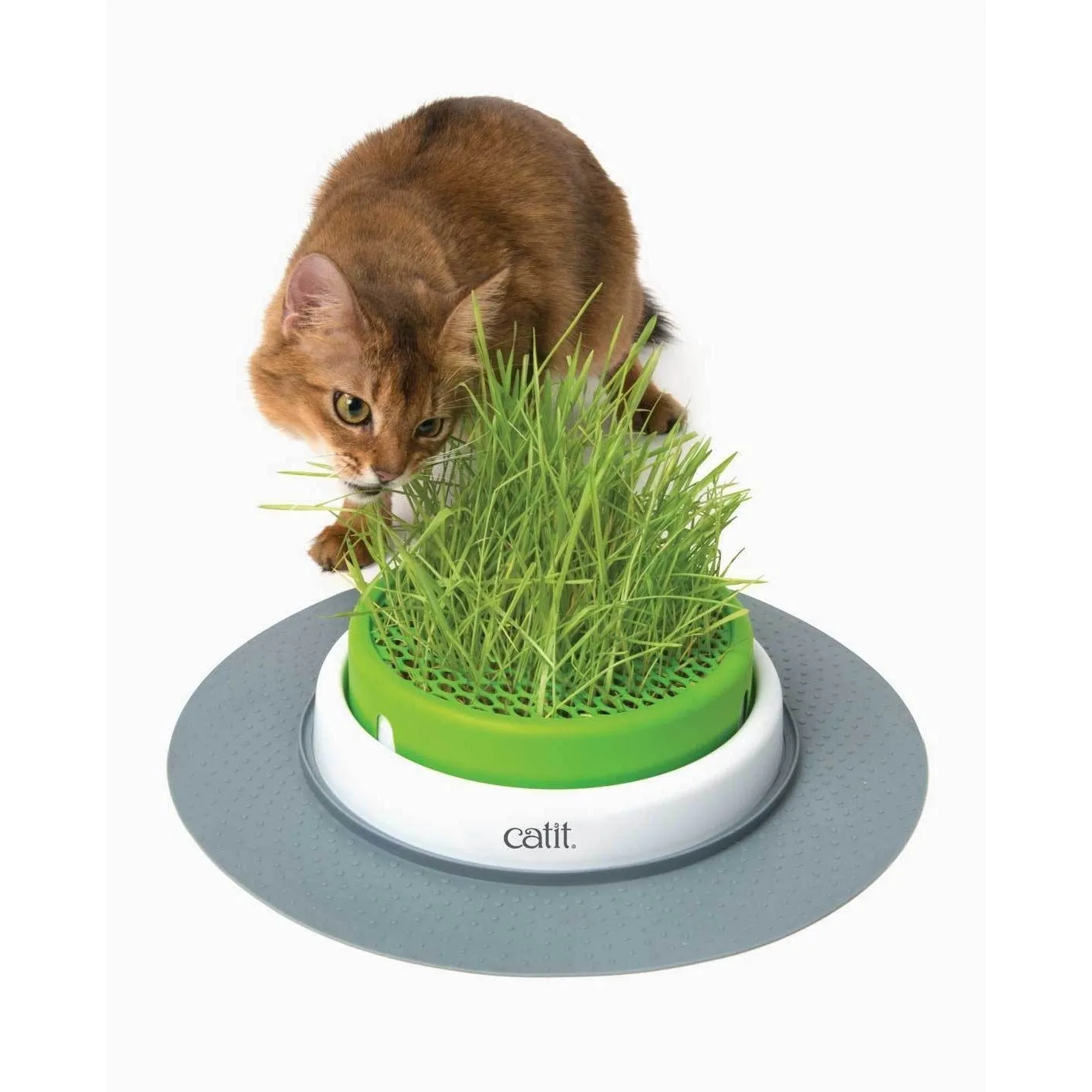 Catit Senses 2.0 Grass Planter ($)($)
