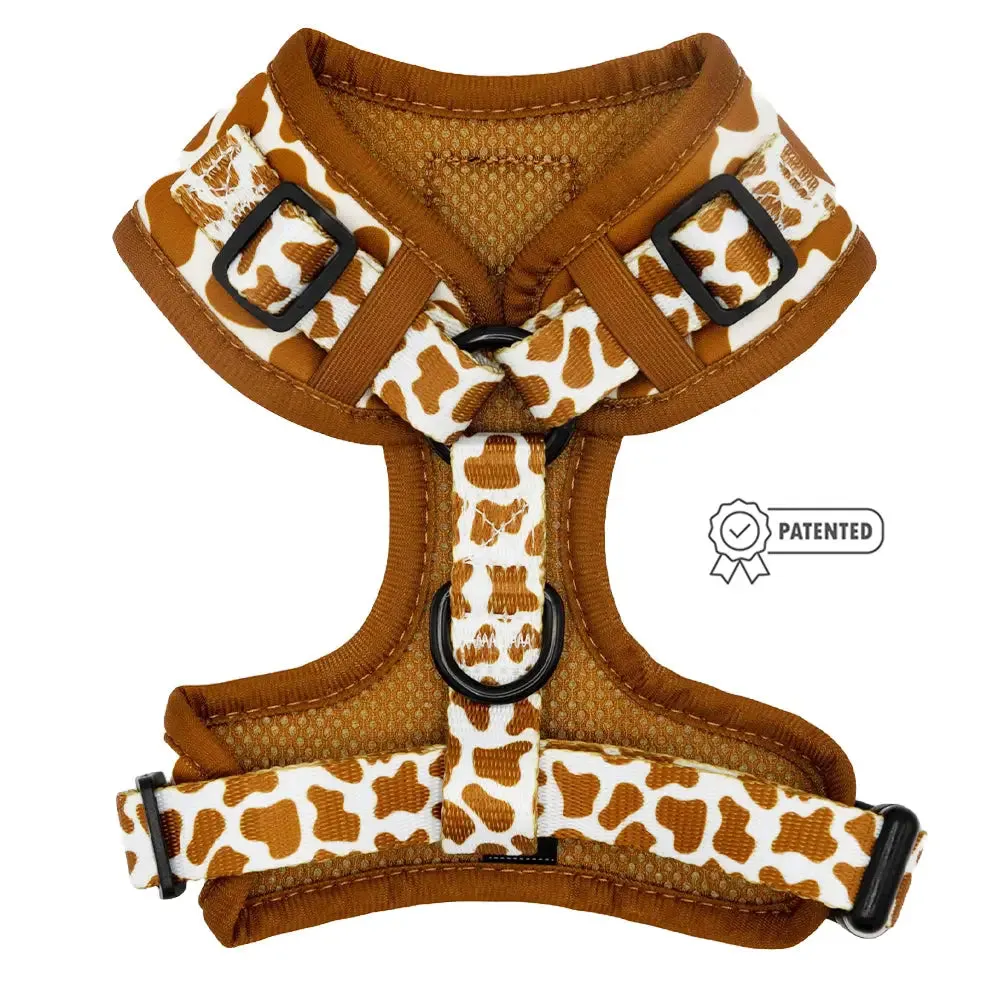 Chocolate Milk Adjustable Harness